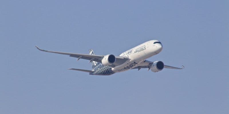 Alerta ecológica por las emisiones en la aviación holandesa