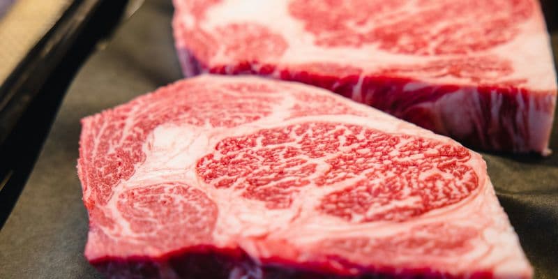 El precio de la carne de vacuno se dispara un 9 % en Países Bajos