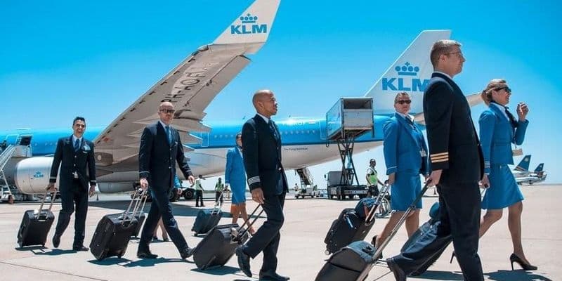 Cabin Crew KLM