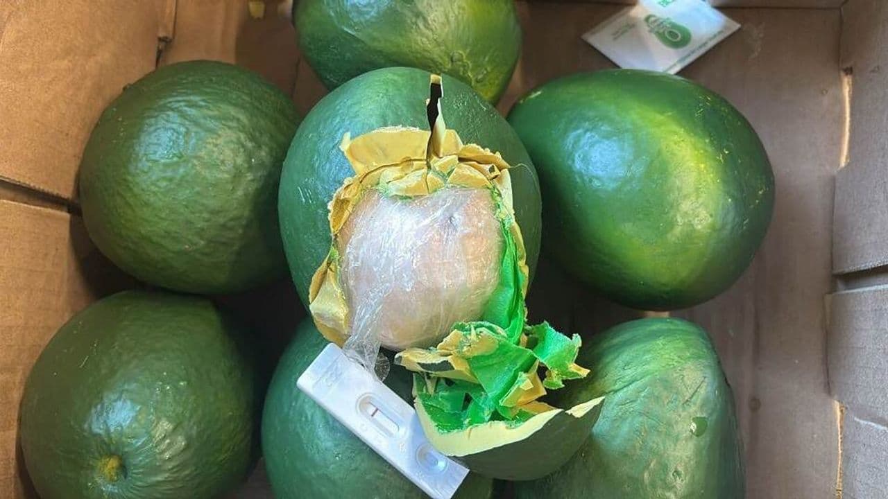 Cocaína en falsos aguacates