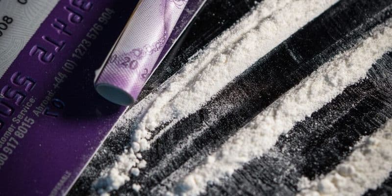 El alcalde de Róterdam solicita fondos adicionales para combatir el narcotráfico