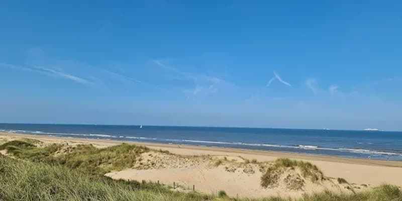 Hollandse Duinen ya es parque nacional: el número 22 de Países Bajos