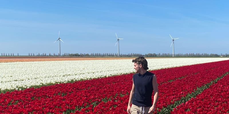 Jesús Sánchez entre campos de tulipanes