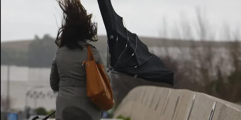 Países Bajos bajo alerta por fuertes vientos y lluvias