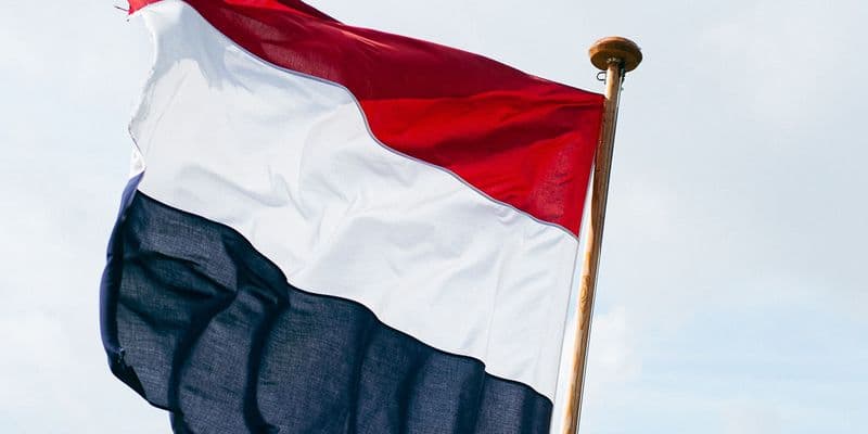 Bandera holandesa