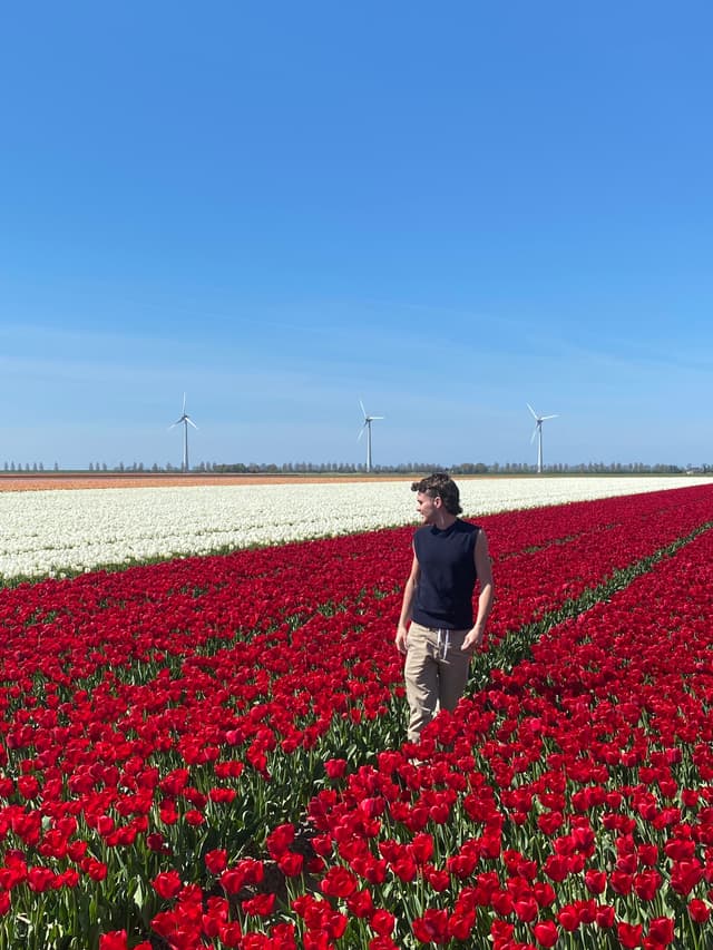 Jesús Sánchez entre campos de tulipanes
