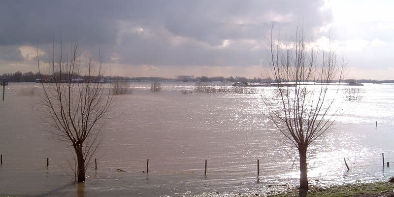Alarma tras víctimas ahogadas en el río Waal esta semana