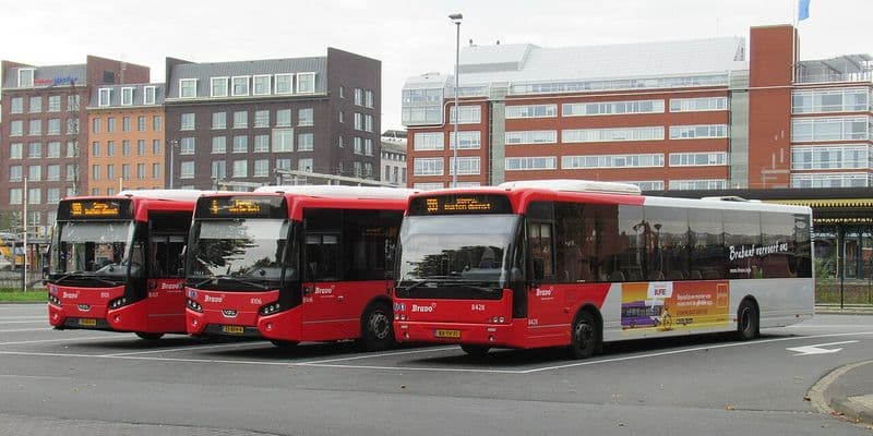 Autobuses Arriva - Foto de Robbie Klinkenberg en Wikimedia Commons