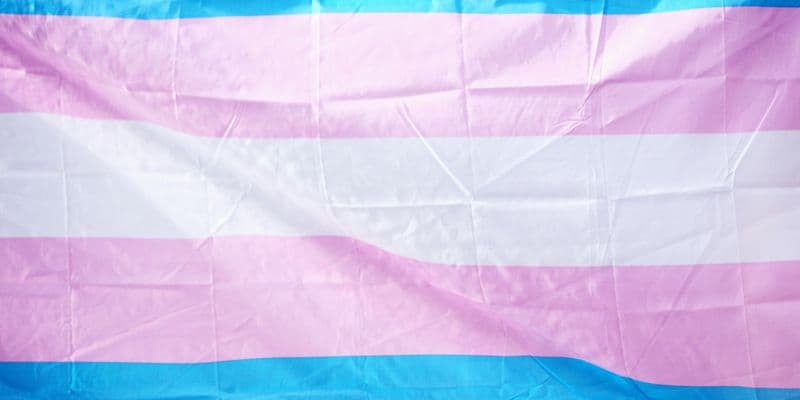 Bandera transgénero