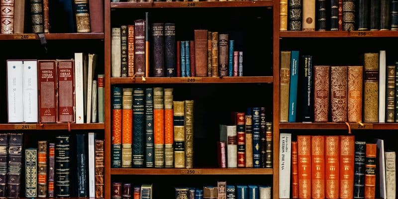 Róterdam ofrecerá membresía gratuita a la biblioteca para residentes