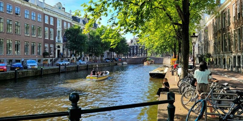 Ámsterdam instalará escaleras en sus canales para salvar a gatos