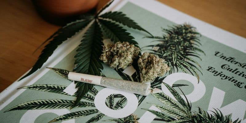 Cannabis