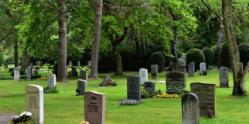 Cementerio en Dordrecht abrió ataúdes sin permiso para realizar experimentos