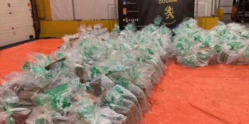 Mayor redada del año: 3.600 kg de cocaína en plátanos ecuatorianos