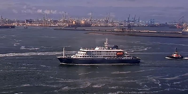 MV Hondius llega a Rotterdam mientras la OMS mantiene bajo el riesgo por hantavirus