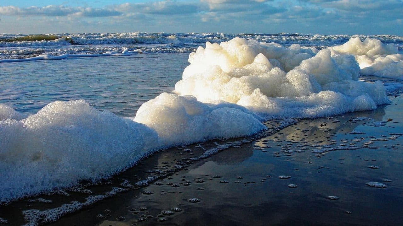 Espuma en el mar de Texel