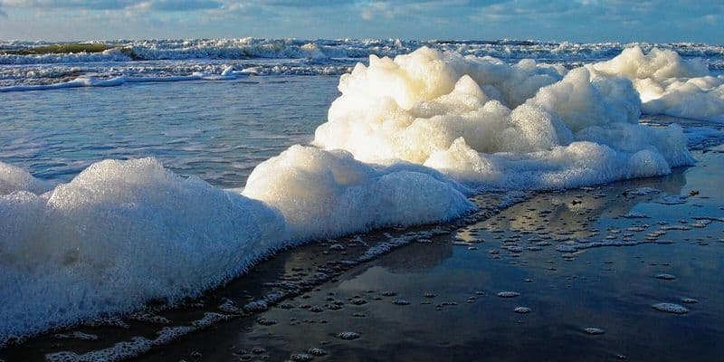 Holanda advierte evitar la espuma del mar por altos niveles de PFAS