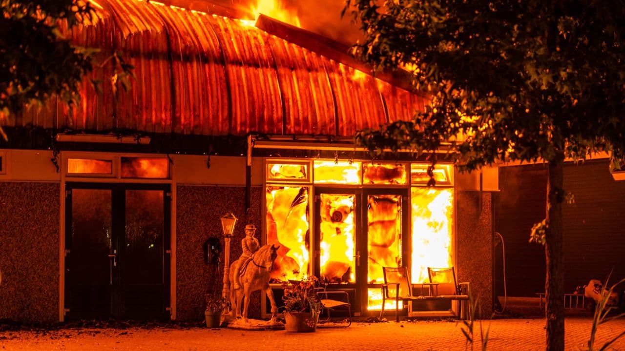 Incendio en escuela de equitación de Zeewolde deja 18 caballos muertos