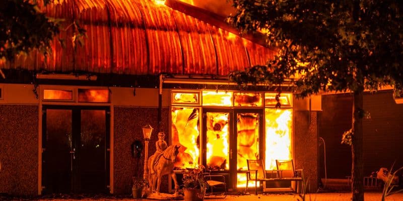 Incendio en establo de Zeewolde deja 18 caballos muertos