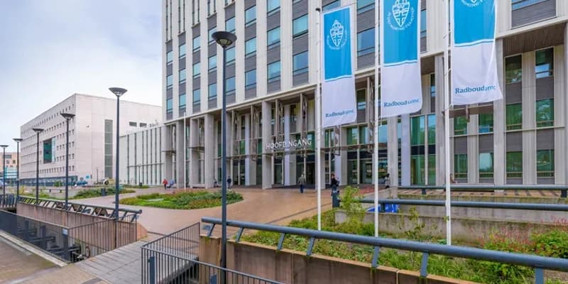 Hospital de Nijmegen prueba nueva terapia experimental contra el cáncer de páncreas