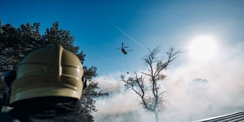 Países Bajos pide ayuda internacional para combatir incendios forestales