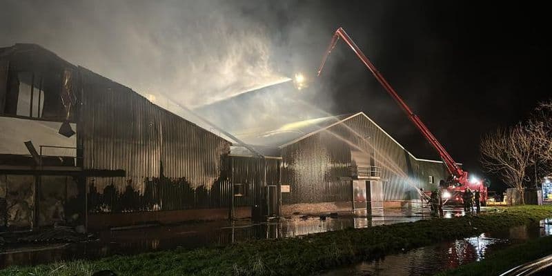 Incendio mata a 50.000 pollos en una granja de Gelderland a causa de la tormenta Henk