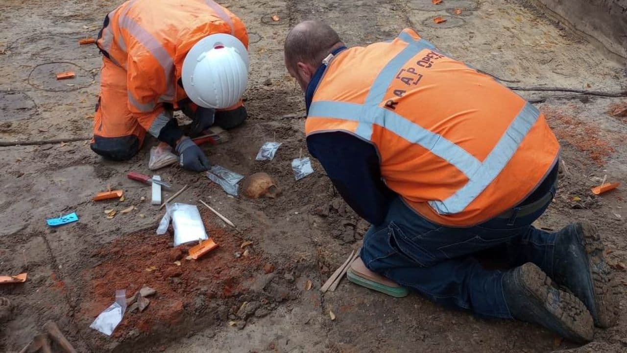 Investigación de los esqueletos encontrados por arqueólogos de la RAAP.