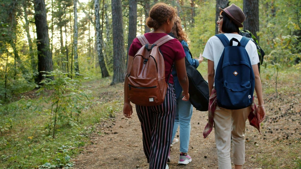 Jóvenes caminando en el bosque
