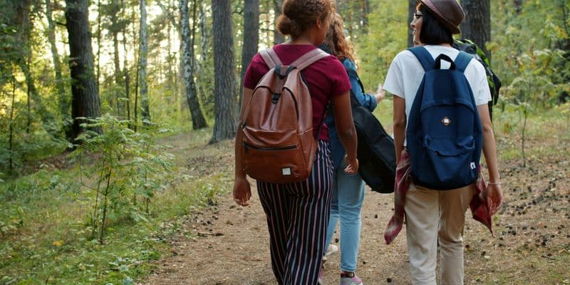 Utrecht lanza un autobús gratuito hacia el bosque para combatir el estrés