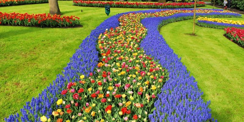 Marzo en Países Bajos: los eventos que marcan el inicio de la primavera