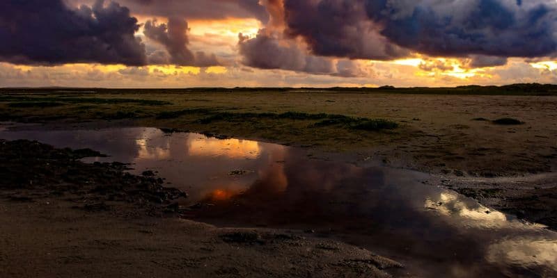 Mar Wadden - Foto de Mark Coenraads en Unsplash