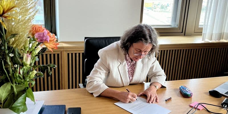 El Consejo pide retrasar nuevas leyes de asilo en los Países Bajos