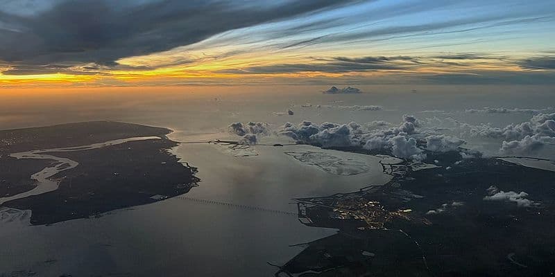 Crisis en Oosterschelde por muerte masiva de langostas