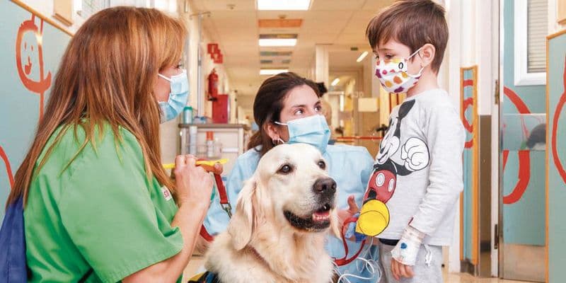 Hospital de Den Bosch permite visitas de mascotas a sus pacientes