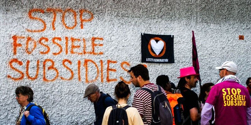 El Gobierno neerlandés criticado por aplazar el recorte de emisiones de nitrógeno