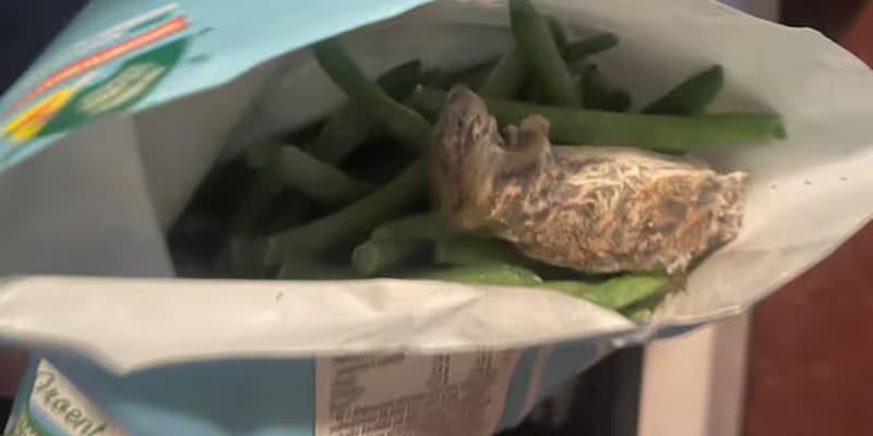 Jumbo retira judías verdes congeladas tras hallazgo de ratones en varios paquetes