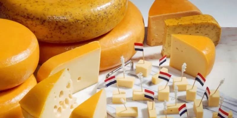 Tabla de quesos holandeses