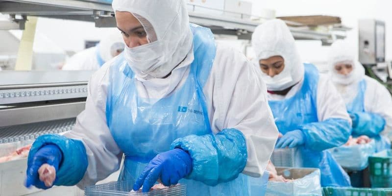 Aumento de trabajadores inmigrantes indocumentados en Holanda