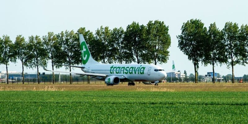Transavia avión