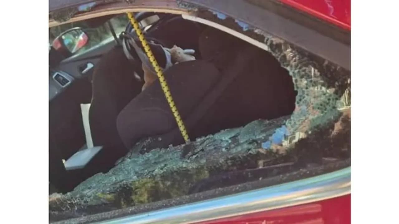 Ventana de coche rota para el rescate de un bebé en Amersfoort