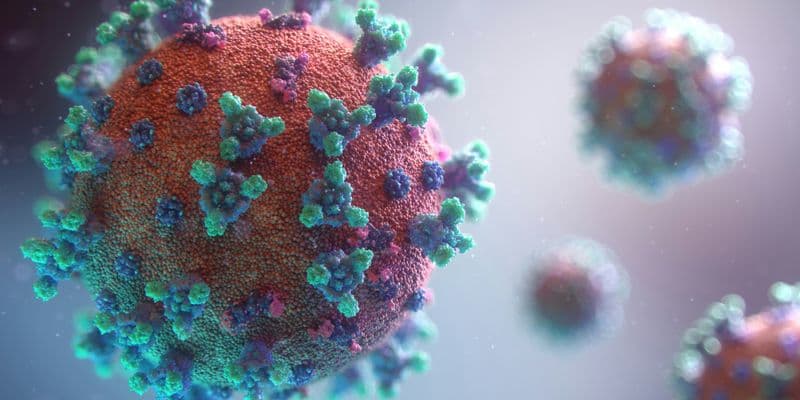 Dos casos del virus Mpox en un centro de Eindhoven