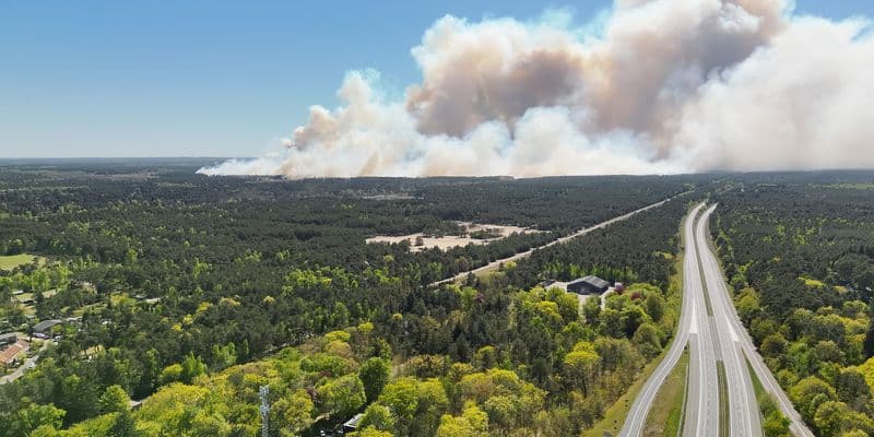 Ola de incendios forestales en Países Bajos: alto riesgo en todo el país