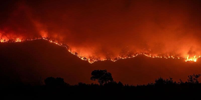 Unidos desde Holanda por España: campaña solidaria tras incendios