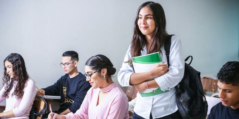 Guía para estudiantes en Países Bajos: educación, becas y vida