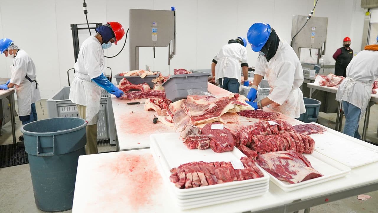 Trabajadores en una planta de procesamiento de carne