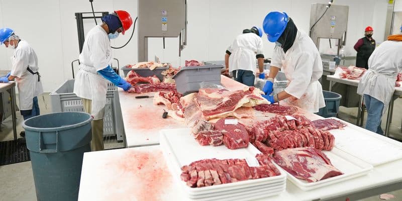 Países Bajos prohibirá las agencias temporales en el sector cárnico