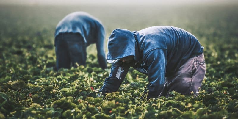 Ministro amenaza con cerrar empresas que exploten a trabajadores inmigrantes