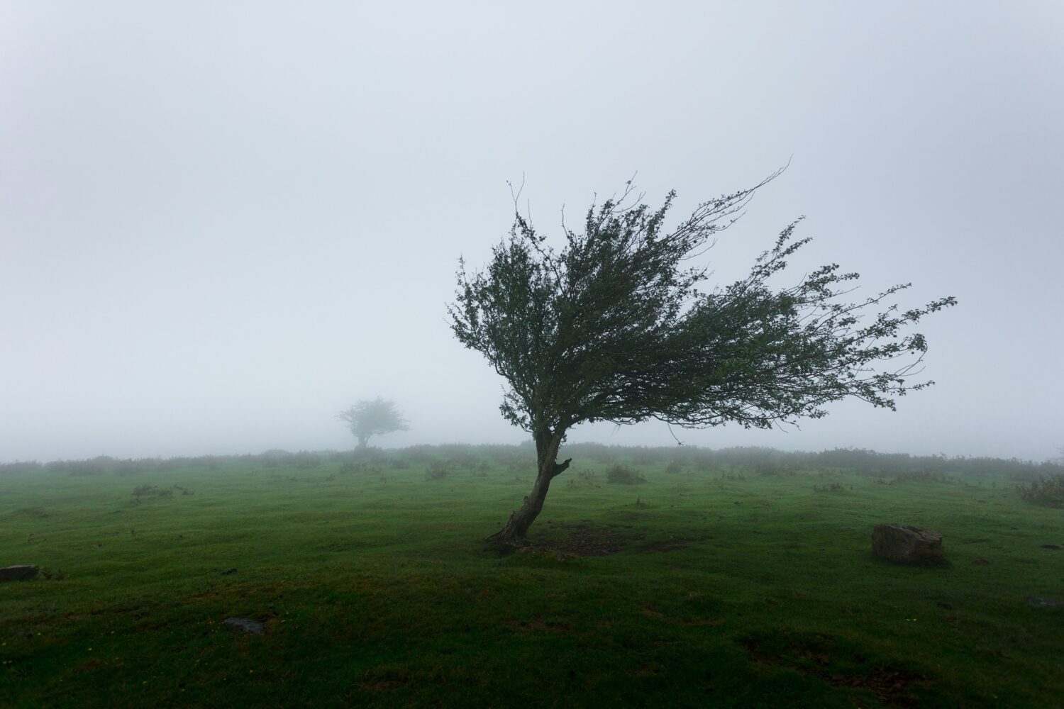 Alerta de Código Amarillo por ráfagas de viento fuerte y el frío inusual en los Países Bajos