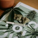 ¿Se debería legalizar por completo la marihuana en los Países Bajos?