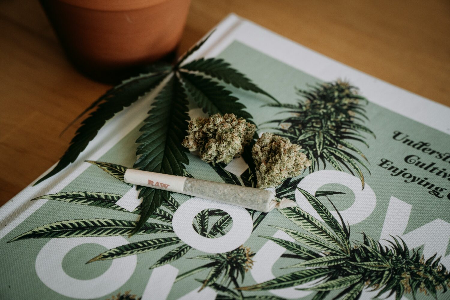 Diez municipios de Holanda comienzan venta de cannabis regulada y tolerada